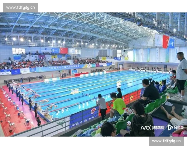 游泳比赛中WJ的含义及其在不同项目中的应用解析